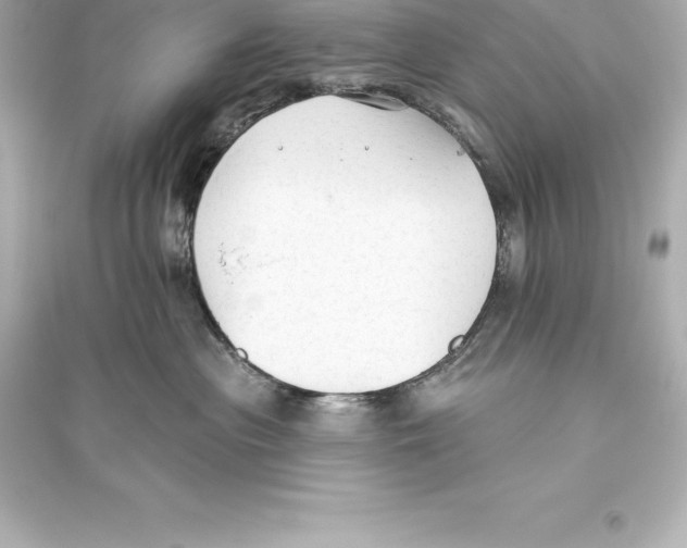 X0000093620477200711121240