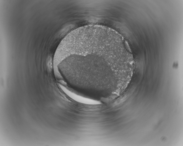 X0000093620479200711121240