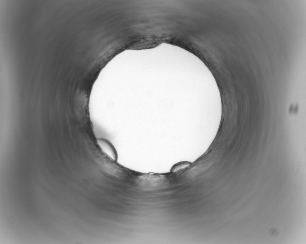 X0000093620480200711121240