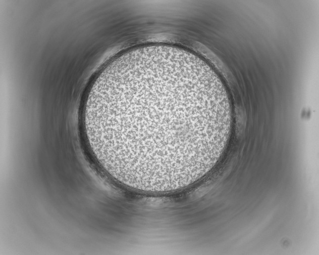 X0000093620482200711121239