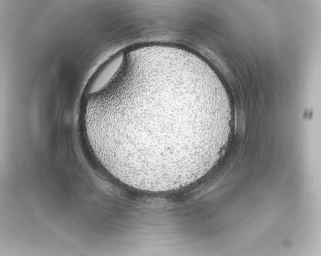 X0000093620483200711121239