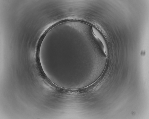 X0000093620484200711121239