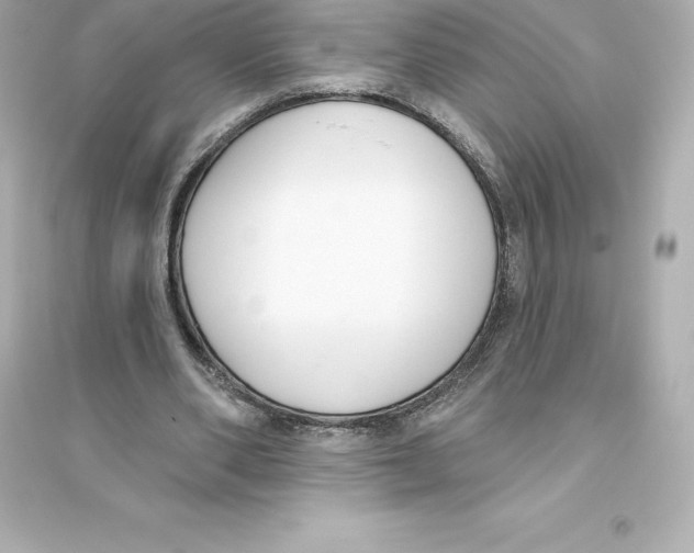 X0000093620486200711121239