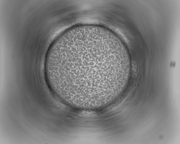 X0000093620487200711121239