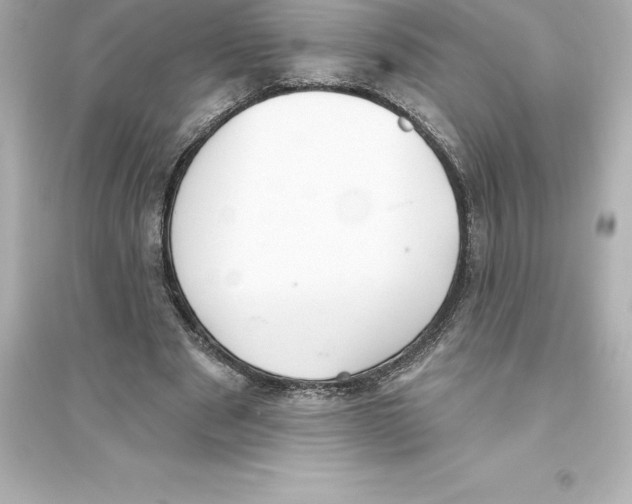 X0000093620489200711121239