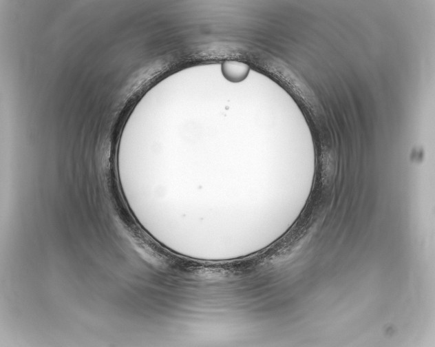 X0000093620490200711121239