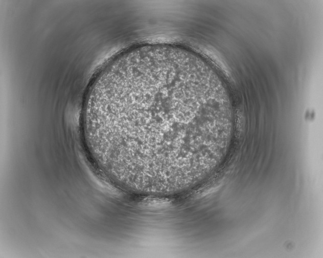 X0000093620491200711121239