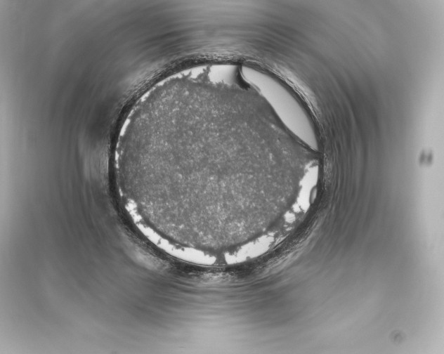 X0000093620493200711121239