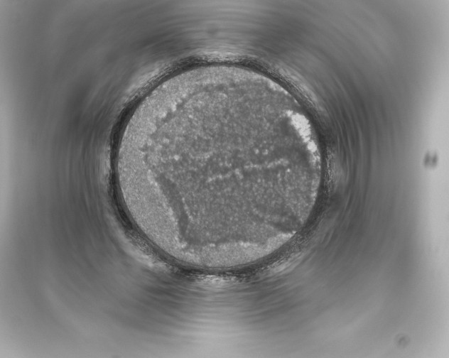 X0000093620494200711121239