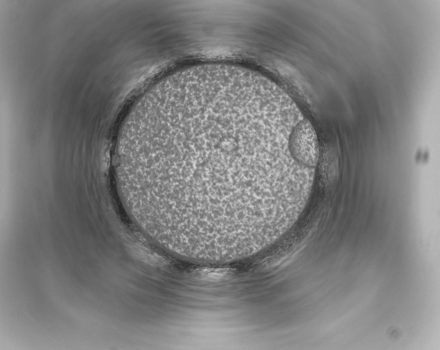 X0000093620495200711121239