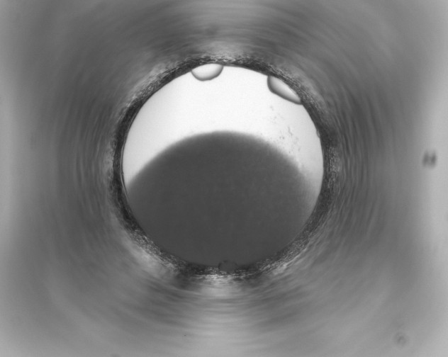 X0000093620496200711121239