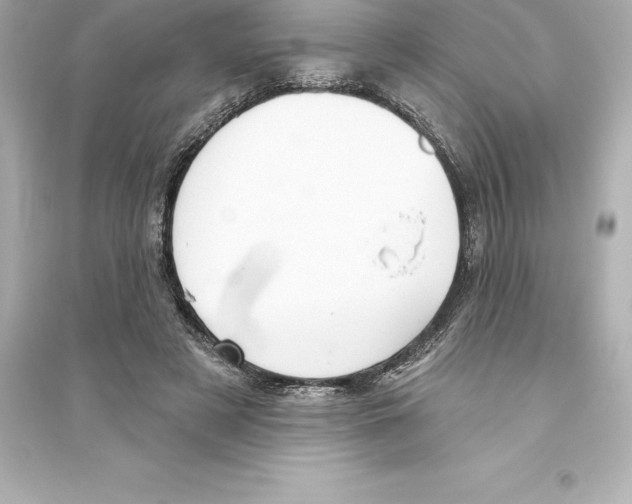 X0000093620497200711121239