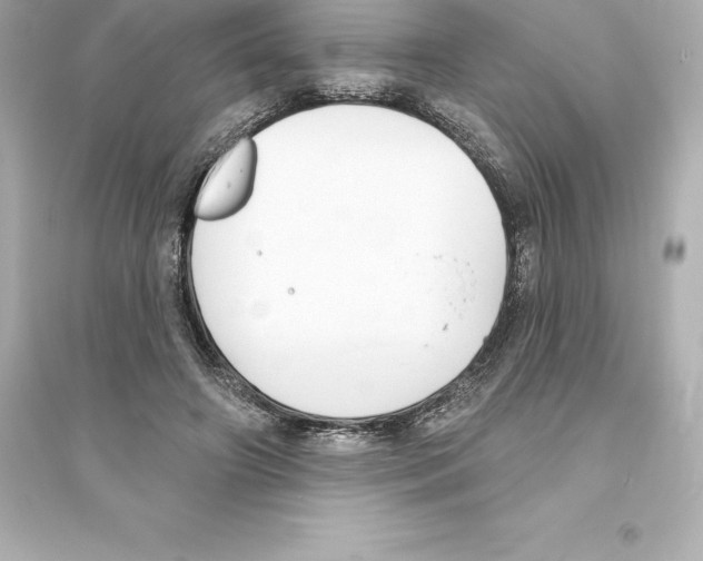 X0000093620498200711121239