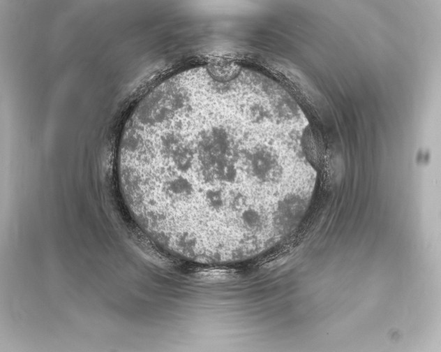 X0000093620499200711121239