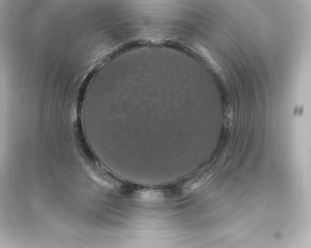 X0000093620500200711121239