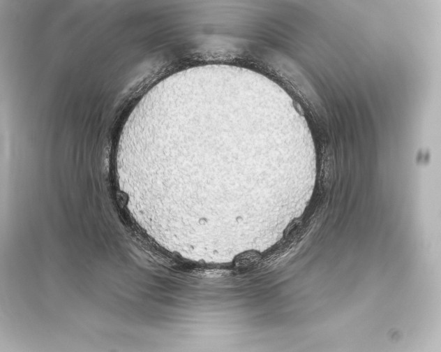 X0000093620501200711121239