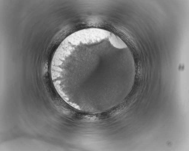 X0000093620502200711121239