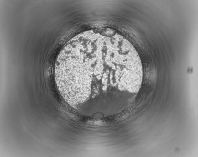 X0000093620503200711121239