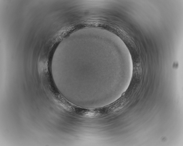 X0000093620504200711121239