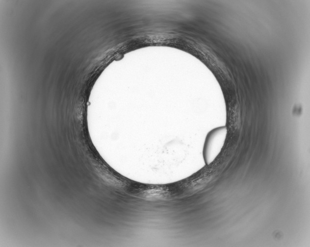 X0000093620505200711121239