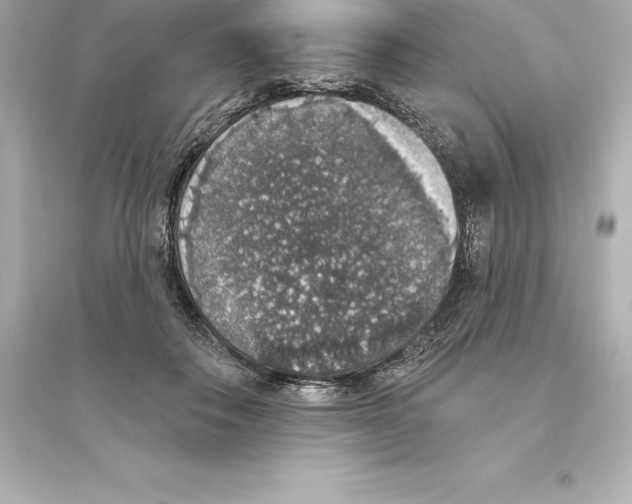 X0000093620506200711121239