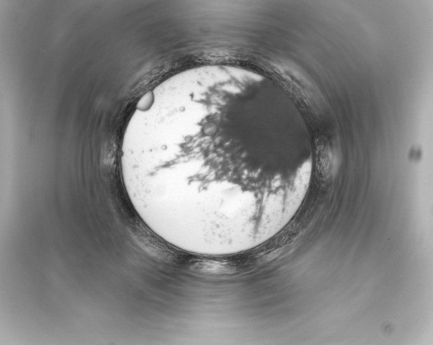 X0000093620507200711121239