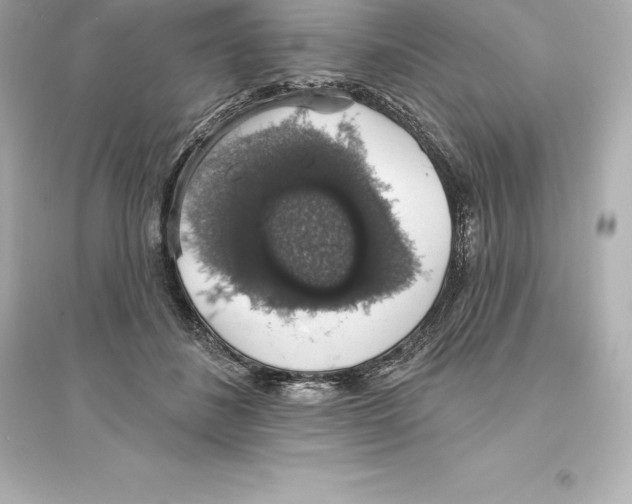 X0000093620508200711121239