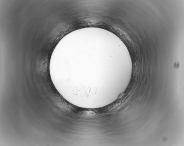 X0000093620509200711121239