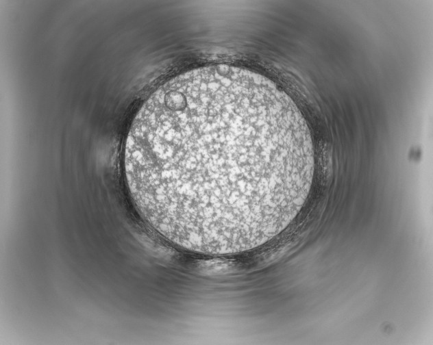 X0000093620511200711121239