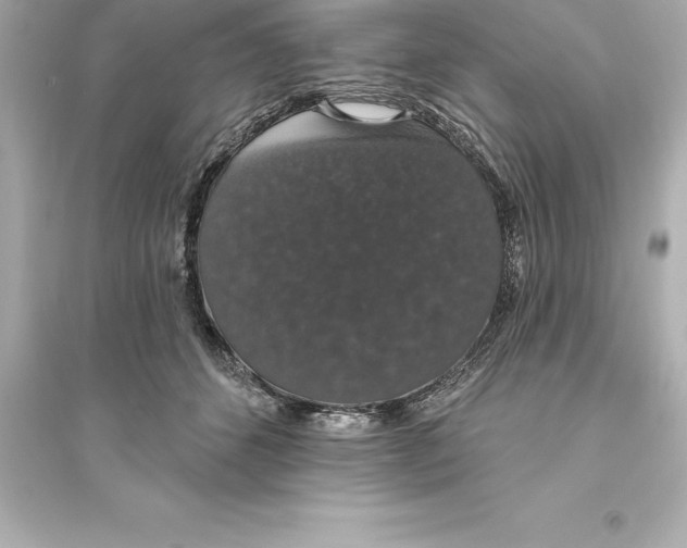 X0000093620512200711121239