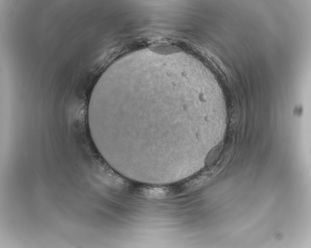 X0000093620513200711121239