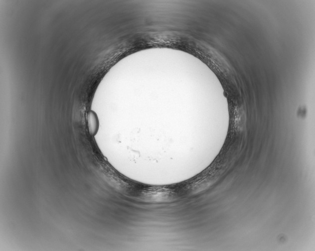 X0000093620514200711121239