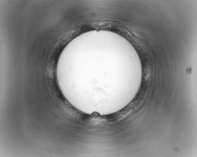 X0000093620515200711121239