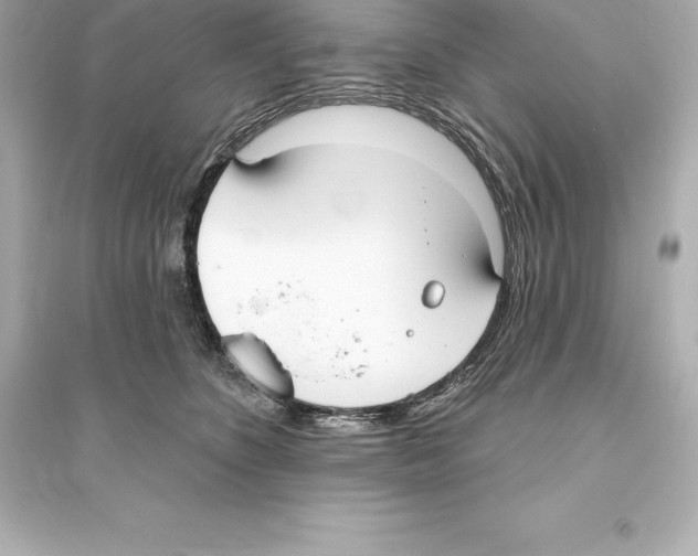 X0000093620516200711121239