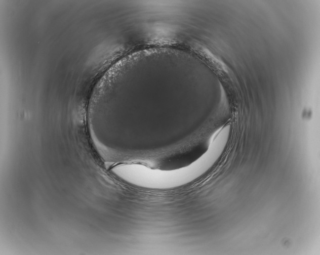 X0000093620517200711121239