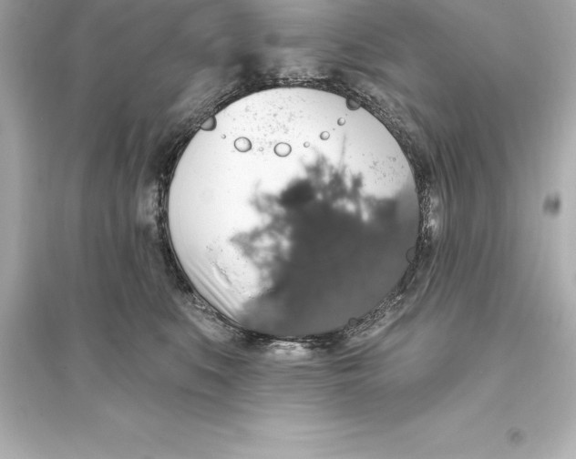 X0000093620519200711121239