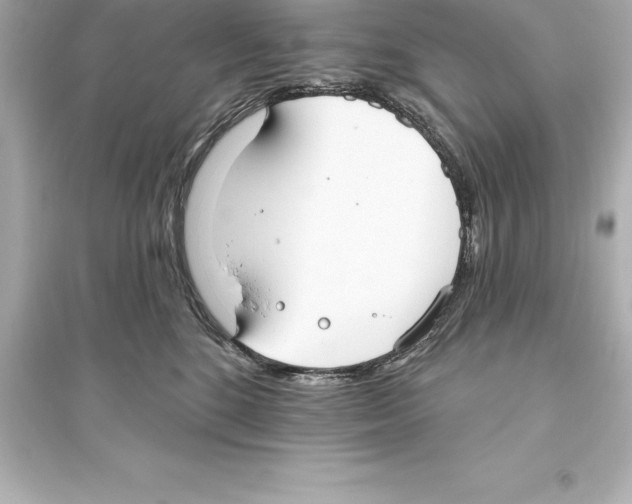 X0000093620520200711121239