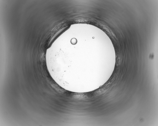 X0000093620521200711121239