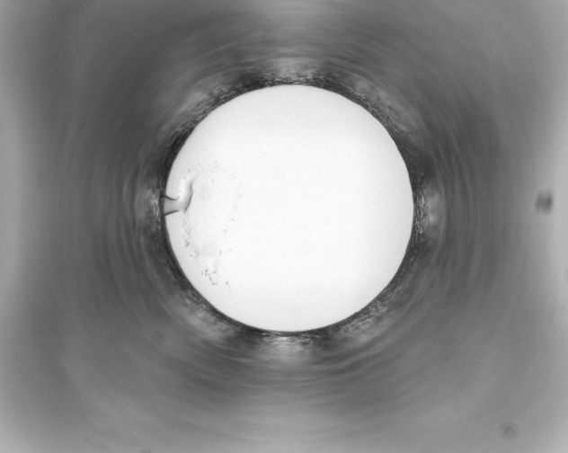 X0000093620522200711121239