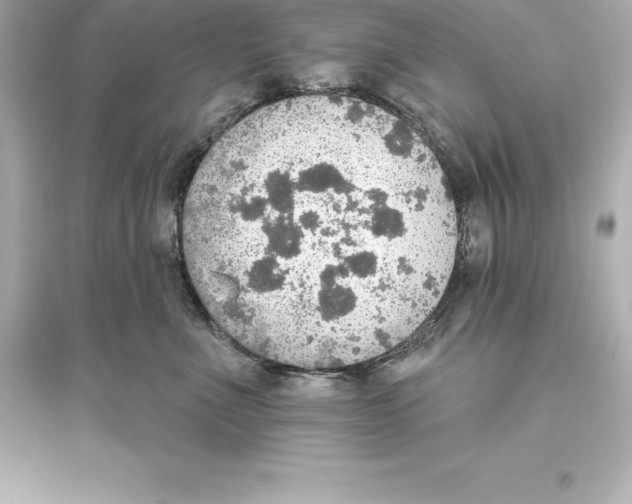 X0000093620523200711121239