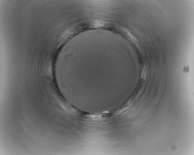 X0000093620524200711121239