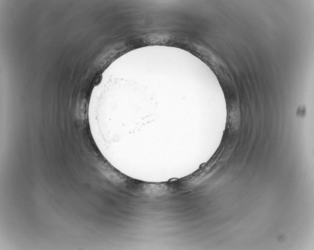 X0000093620525200711121238