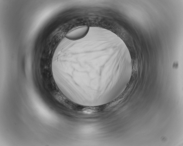 X0000093620526200711121238