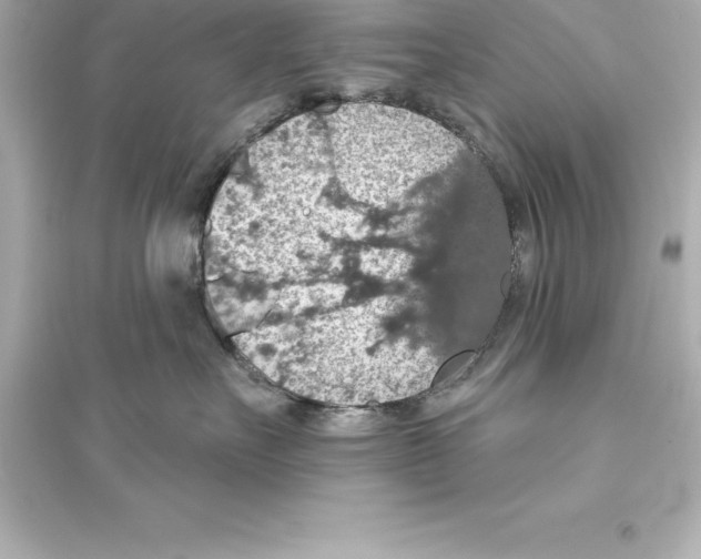 X0000093620527200711121238