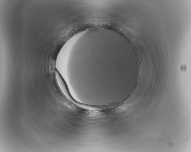 X0000093620528200711121238