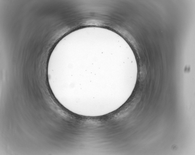 X0000093620529200711121238