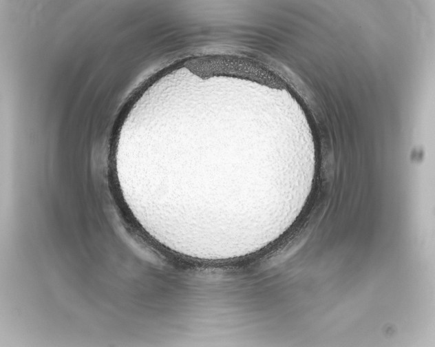 X0000093620530200711121238