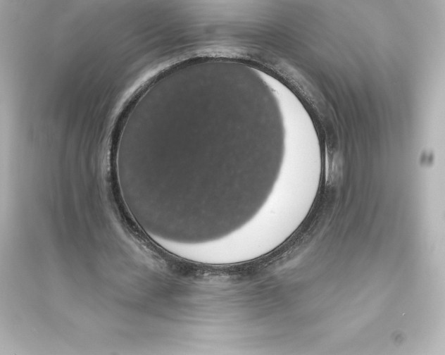 X0000093620531200711121238