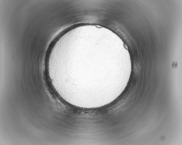 X0000093620532200711121238