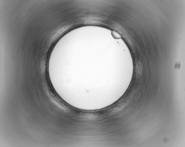 X0000093620533200711121238